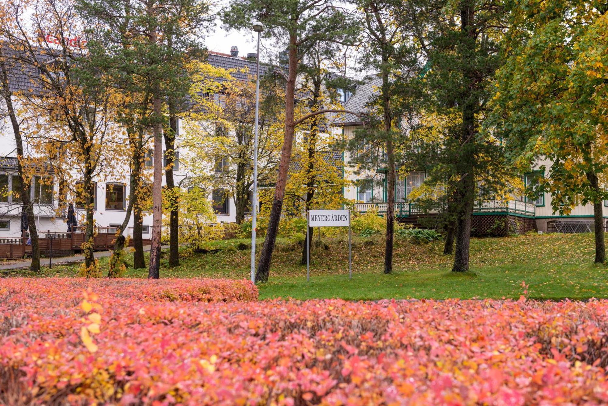 Scandic Meyergården Hotel Mo i Rana Eksteriør billede